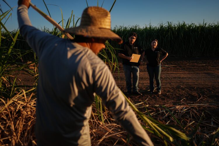 Researchers are mapping heat to protect Californian farmworkers
